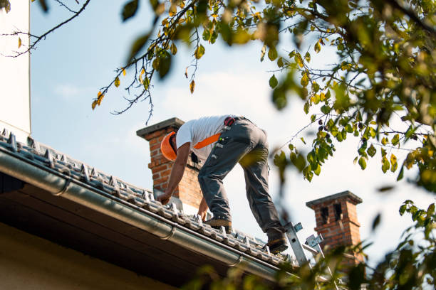 Roof Installation Near Me in Chester, IL