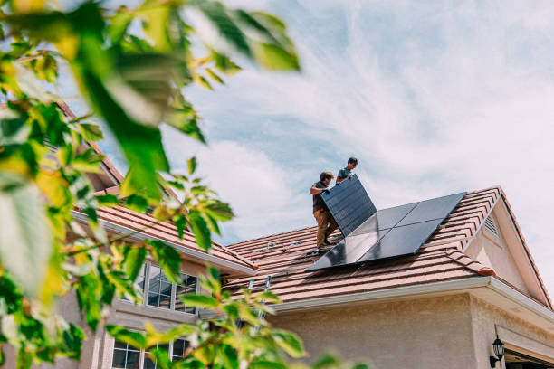 Roof Gutter Cleaning in Chester, IL