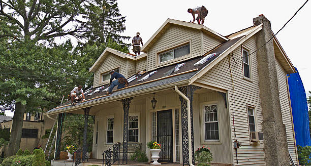 Best Commercial Roofing Services  in Chester, IL