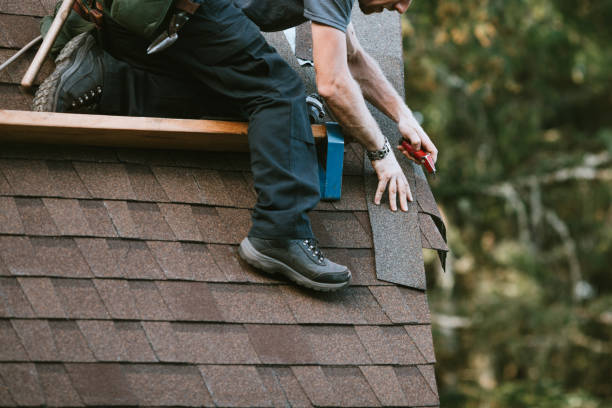 Best Roof Waterproofing Services  in Chester, IL